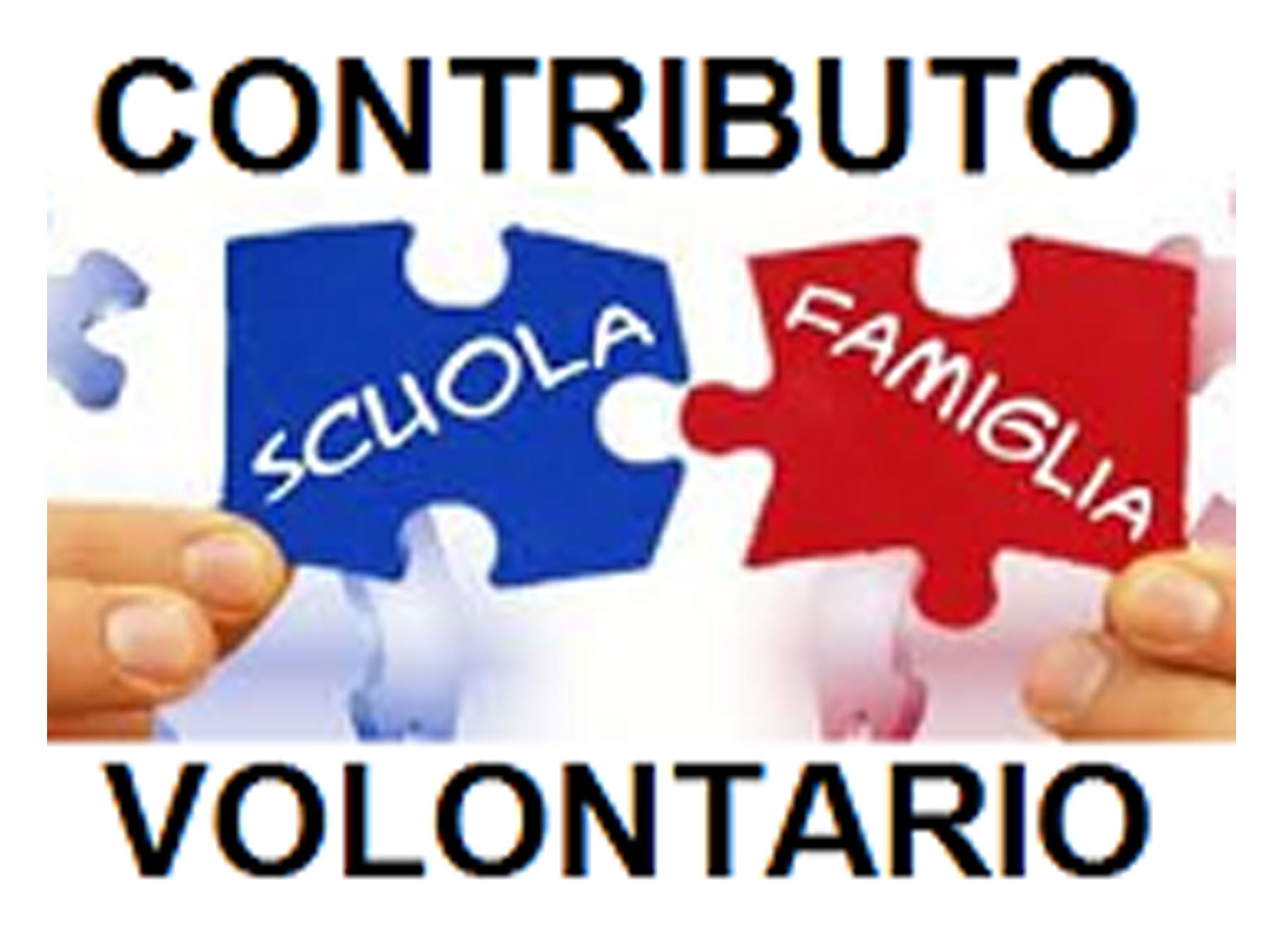 CONTRIBUTO-VOLONTARIO-1-1.jpg